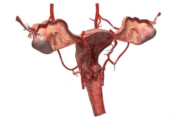 Λόγοι για την ανάπτυξη κιρσών της μικρής λεκάνης